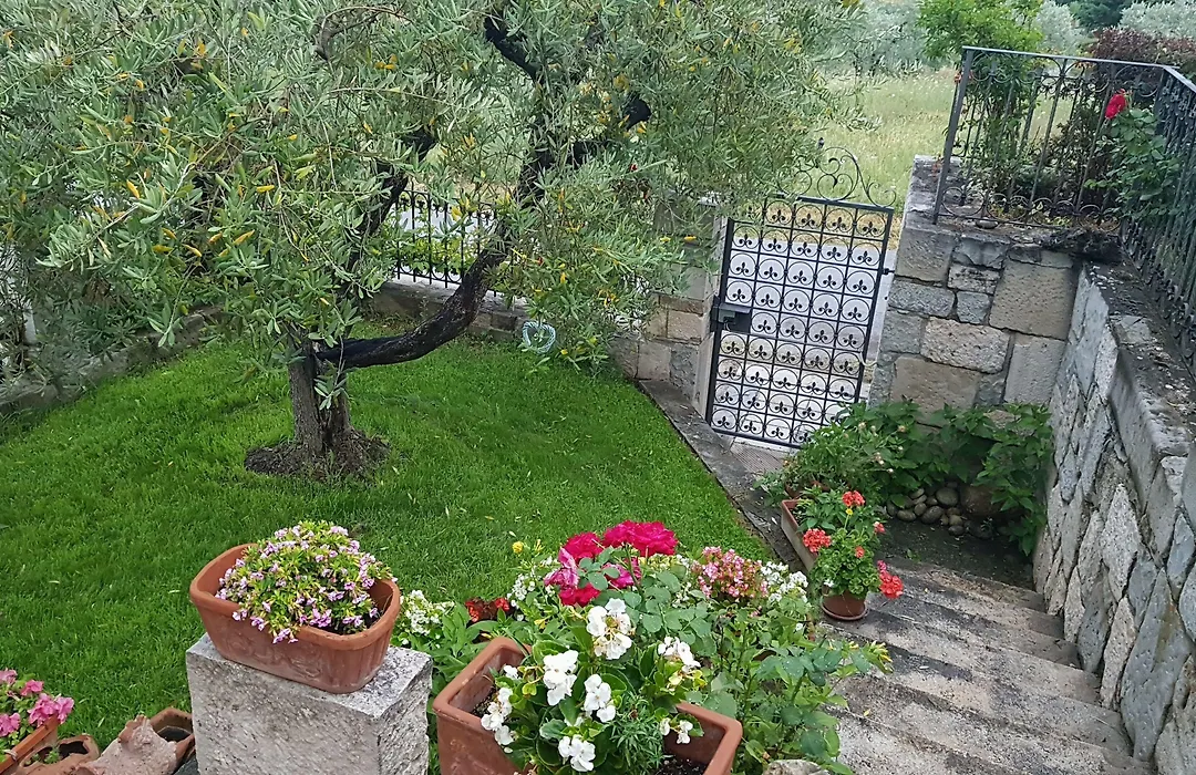 Villa Maria Paola Resort - Bed&Breakfast Isernia-1