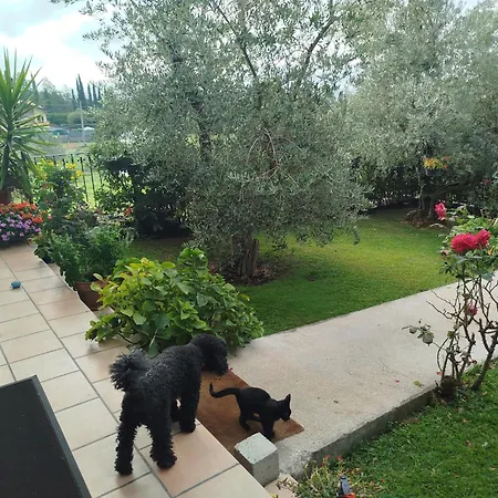 Villa Maria Paola Resort - Bed&Breakfast Isernia-3